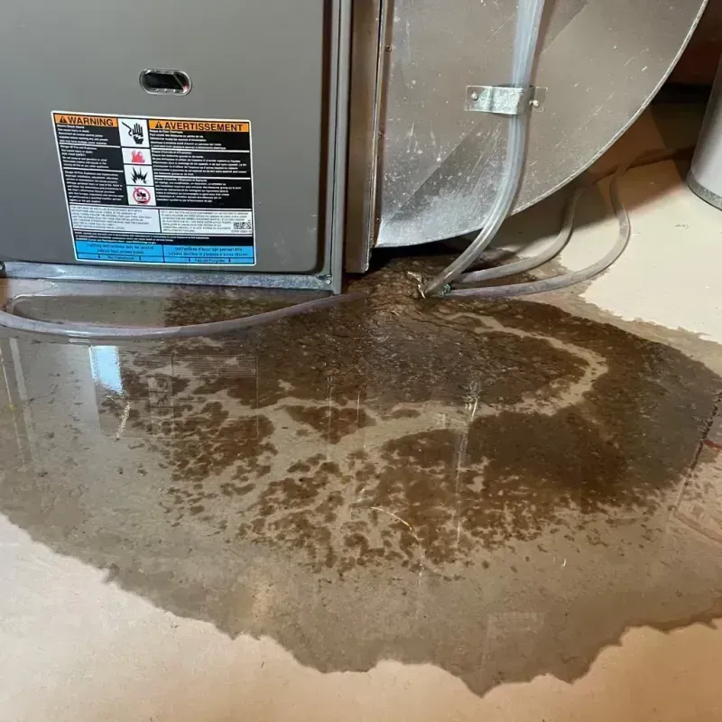 Appliance Leak Cleanup in Paxton, IL